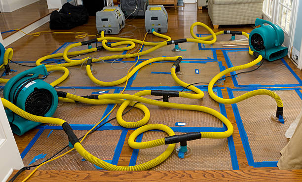 Professional Crawl Space Water Removal technician working in Sunapee, NH